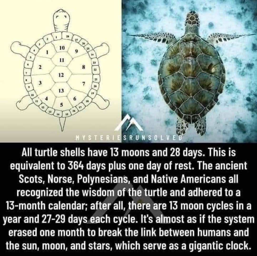 FLAT EARTH LIBRARY tweet media