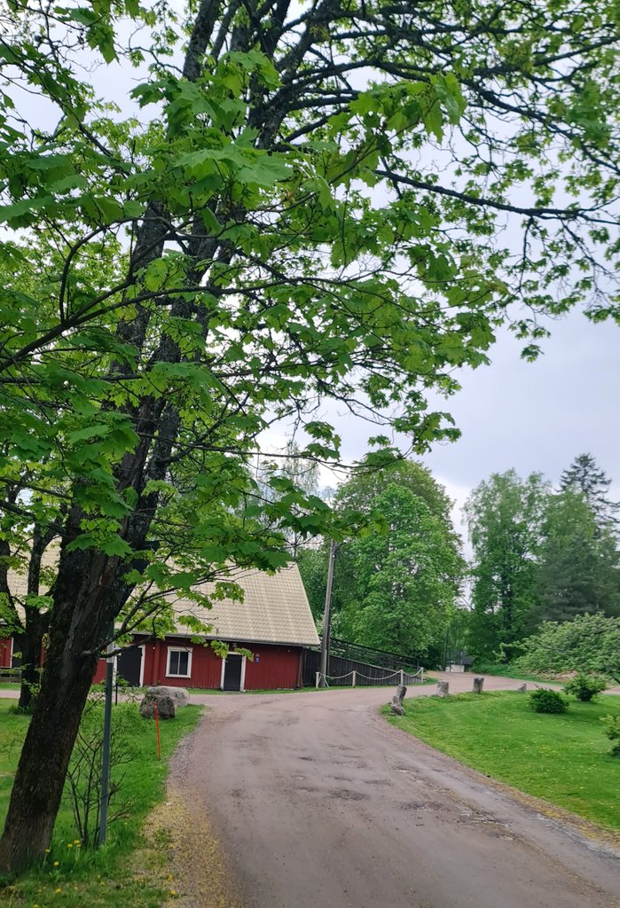 anu_ves's tweet photo. Lenkillä. Linnut laulavat ja tuomi tuoksuu. https://t.co/jrtZ7TWfHc