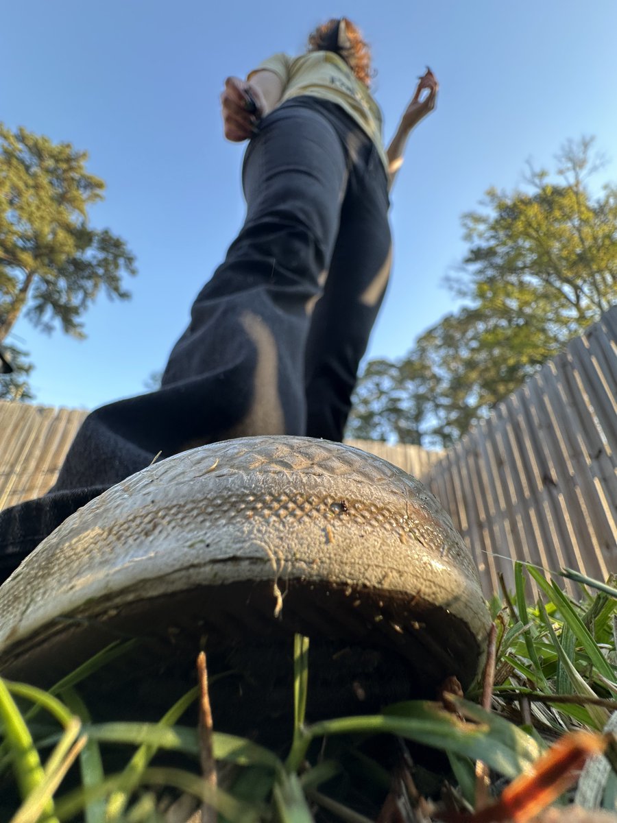 noraknowsfeet's tweet photo. I have some custom spots open this week! Let me know if you want one by DM!

#giantess #sizekink #sizetwitter https://t.co/aWotnuR52M