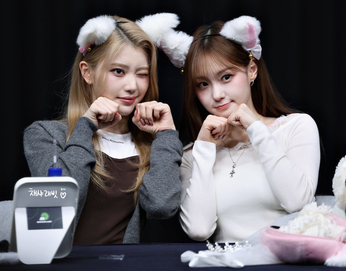 채샤래빗 tweet media
