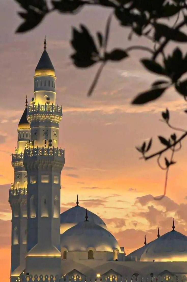 𒆜بَنت الُِاڪابَرٍ𒆜 tweet media