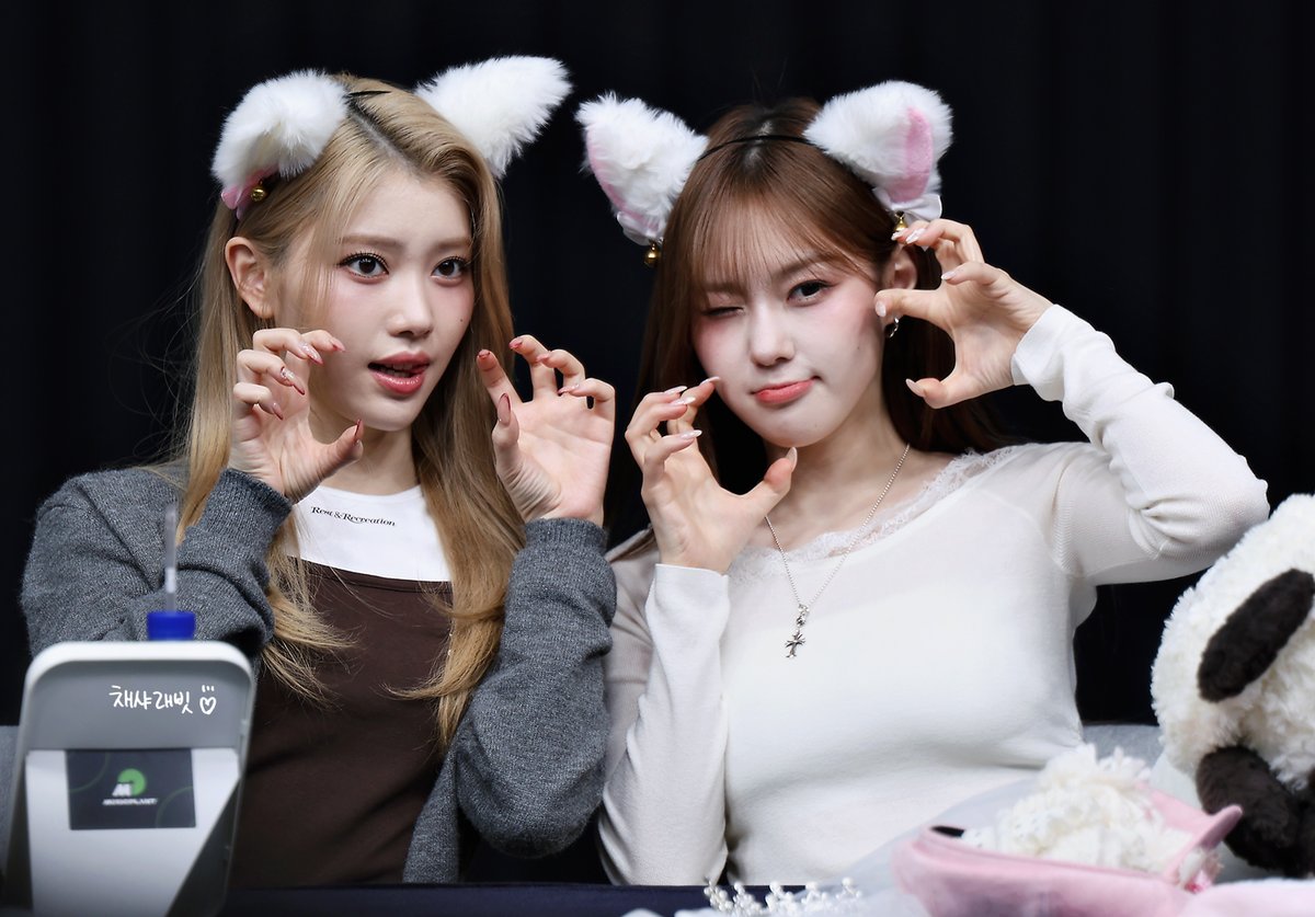 채샤래빗 tweet media