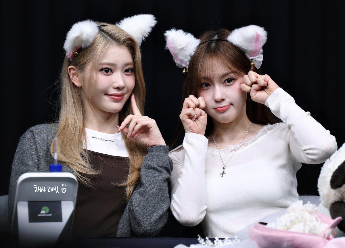 채샤래빗 tweet media