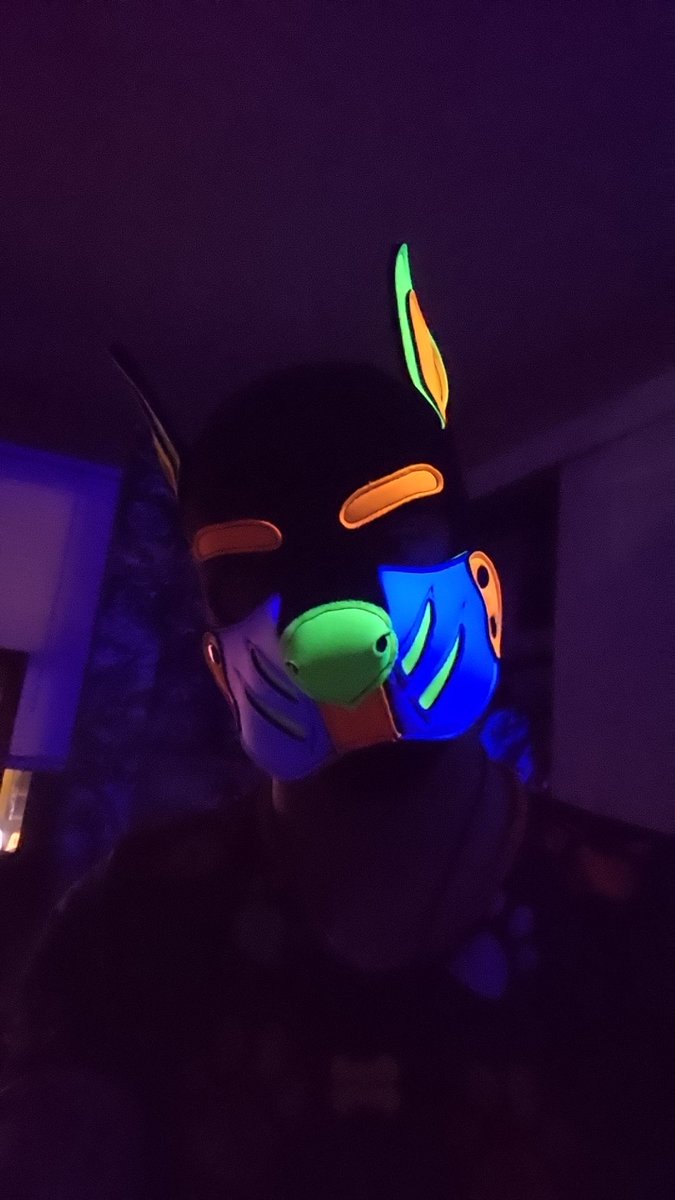 pup_screams13 tweet media