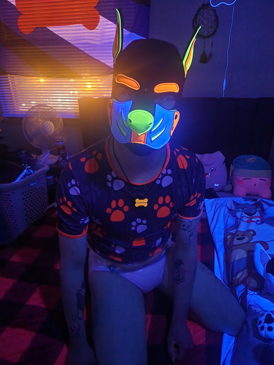 pup_screams13 tweet media