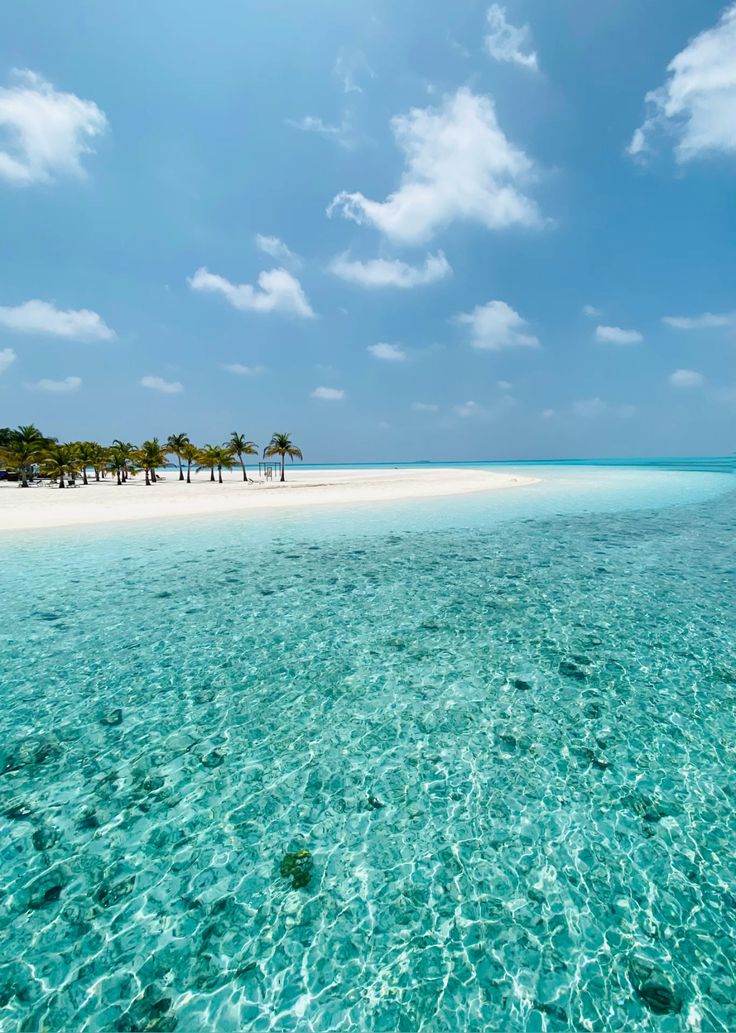 _travel__vibes's tweet photo. Maldives 🇲🇻 https://t.co/LjbUrw3ODe