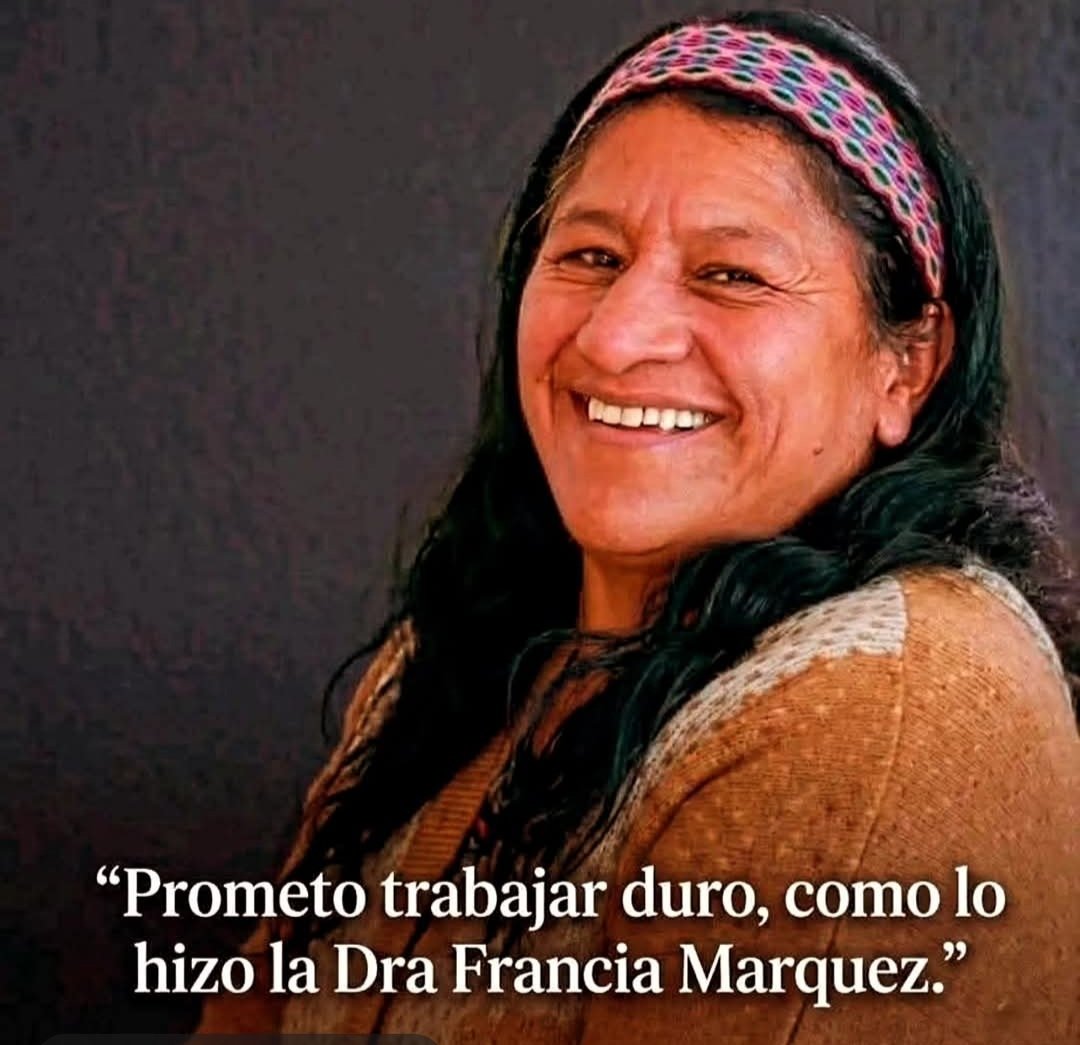mauricio morales cep tweet media