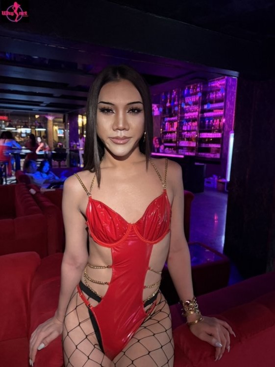 Why Not Bangkok tweet media
