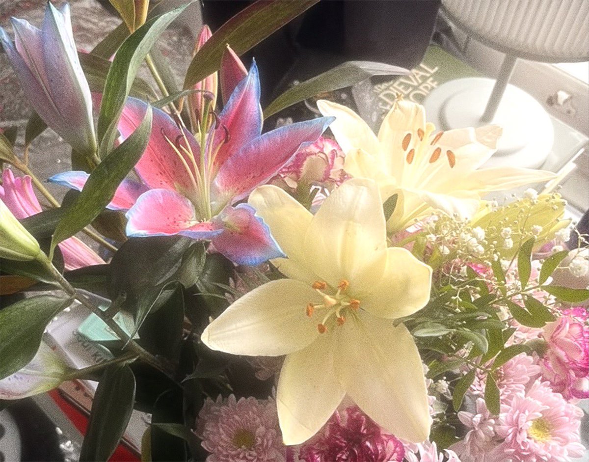 Rosie, ❀ tweet media