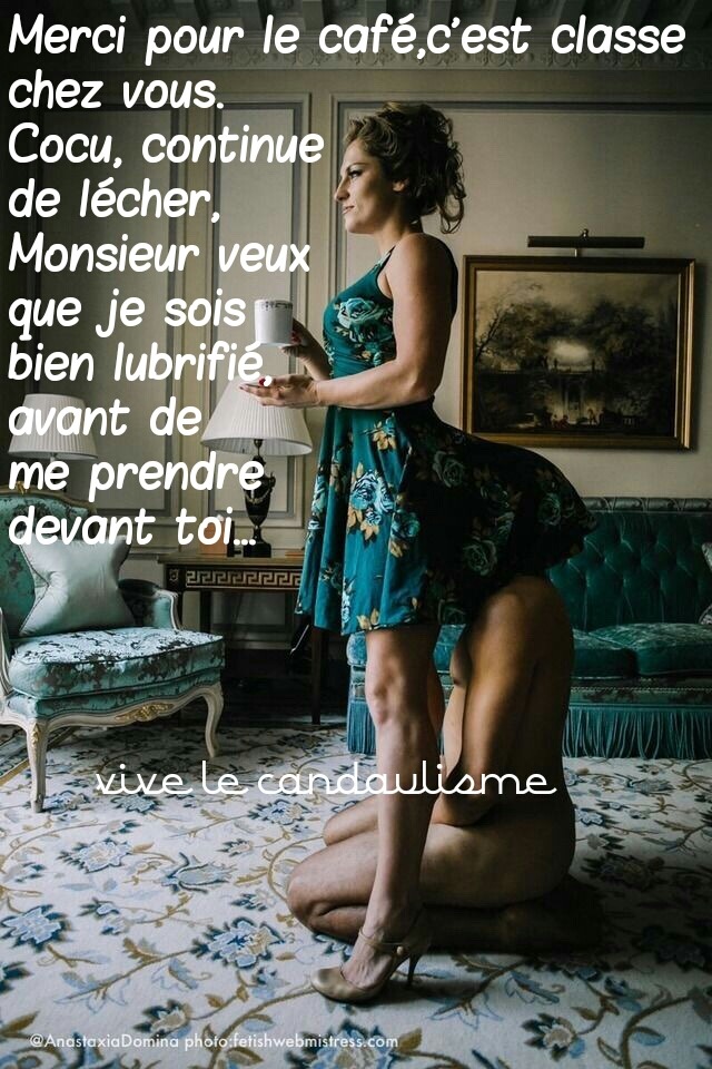 Lemaitredujeu69 tweet media