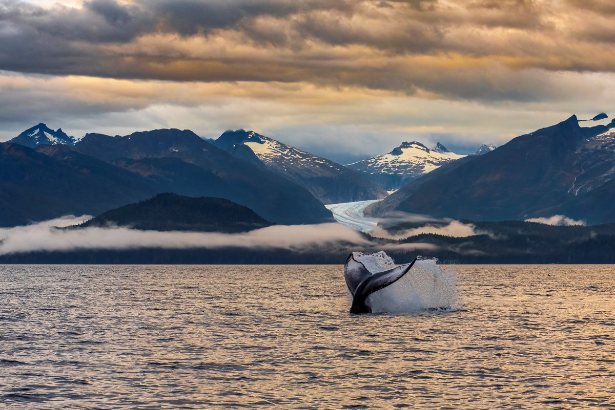 Ocean Conservancy tweet media