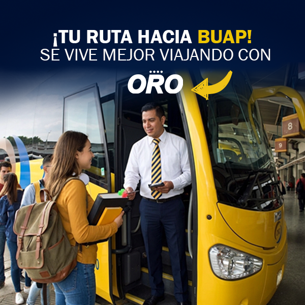 Autobuses ORO tweet media