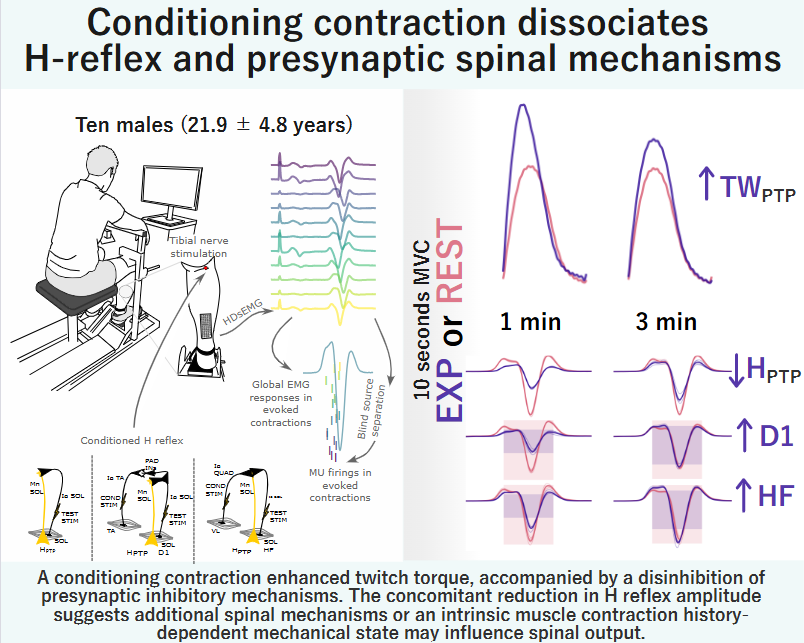 JNeurophysiol's tweet photo. Check out this brand new #ArticleinPrss! #Spinal Mechanisms in Post-Activation Potentiation: Facilitation of Presynaptic Inhibition Contrasts #H-Reflex Amplitude Reduction (Miloš  Kalc et al.):

https://t.co/XALNlvs0PZ https://t.co/gNQHwHhwdz