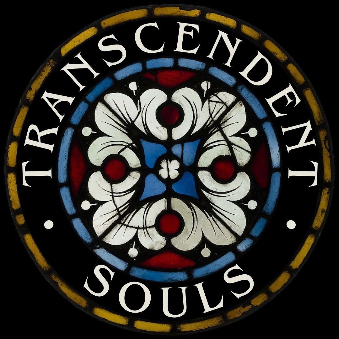 NewMusicChicago's tweet photo. Transcendent Souls IV is an all-cello concert of works by trans composers that explore the intersection of transness and spirituality.

More details here: https://t.co/Tv4Vwwl2jJ https://t.co/Eob5vOCKei