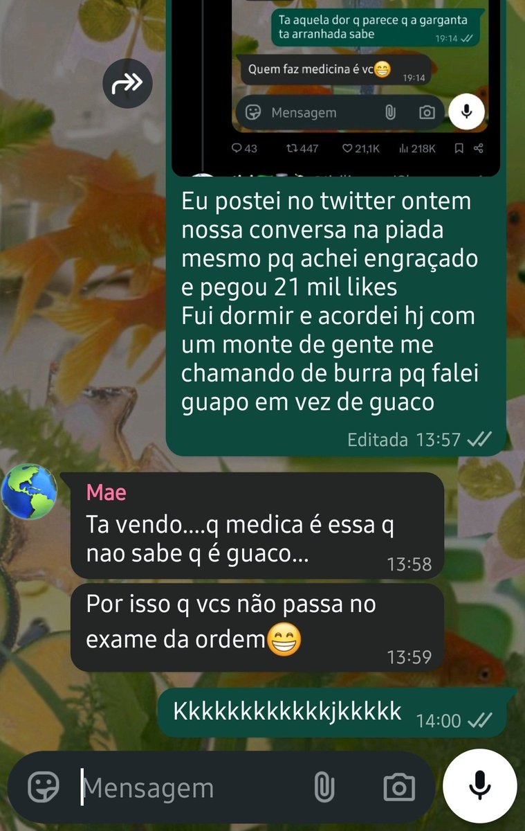 tivi 🇧🇷🎩🍻 tweet media