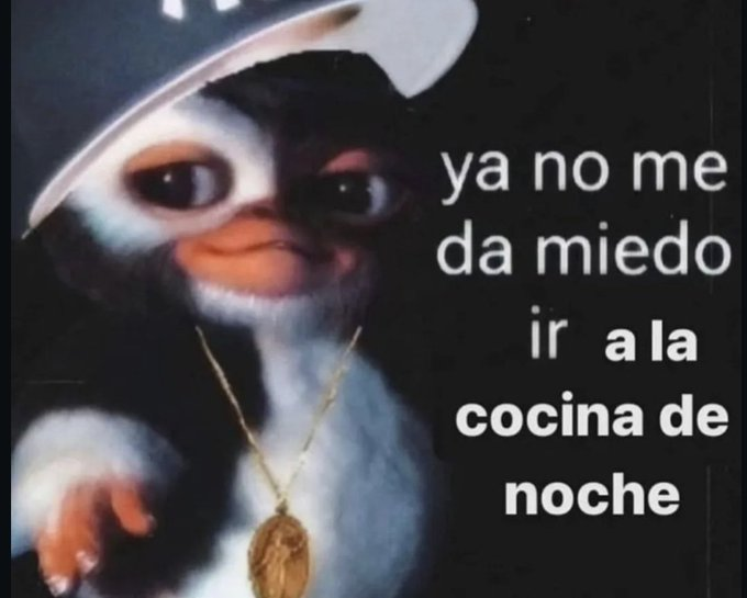 navarro tweet media