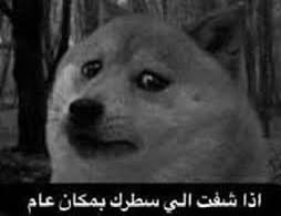 3zozing's tweet photo. قطر والإمارات في كل بطولة https://t.co/W7LbFSRpaE