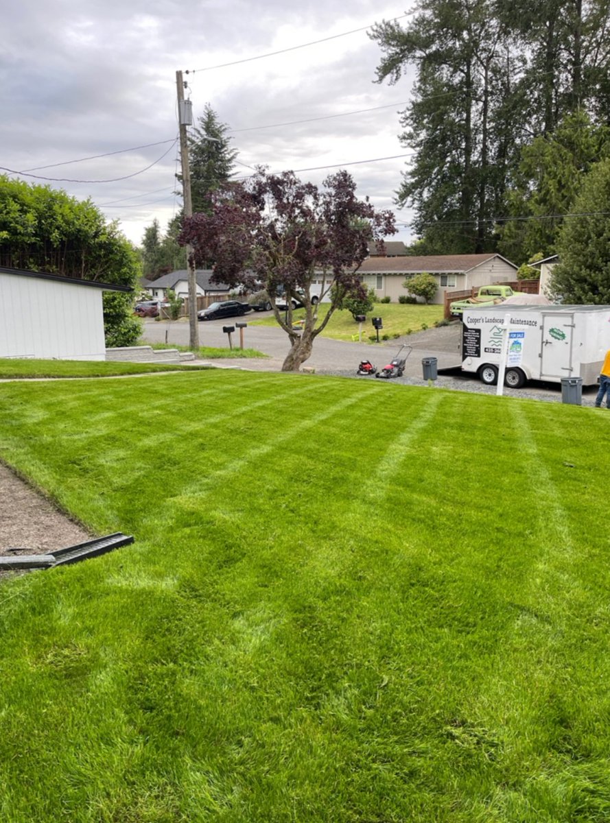 Cooperlandmaint's tweet photo. If you are wondering whether overseeding is worth it, the short answer is yes. It is one of the most effective ways to restore a full, healthy lawn without starting from scratch. Give us call  today!
#CoopersLandscapeMaintenance #OverseedingServices 
https://t.co/RxRxIVAIhO https://t.co/1LvzDdqmrT