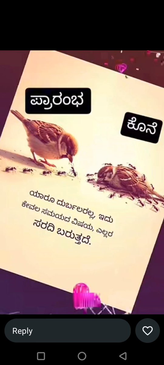 Mrs DJ tweet media