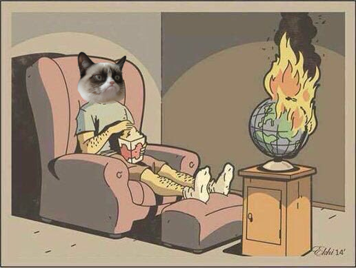StockCats tweet media