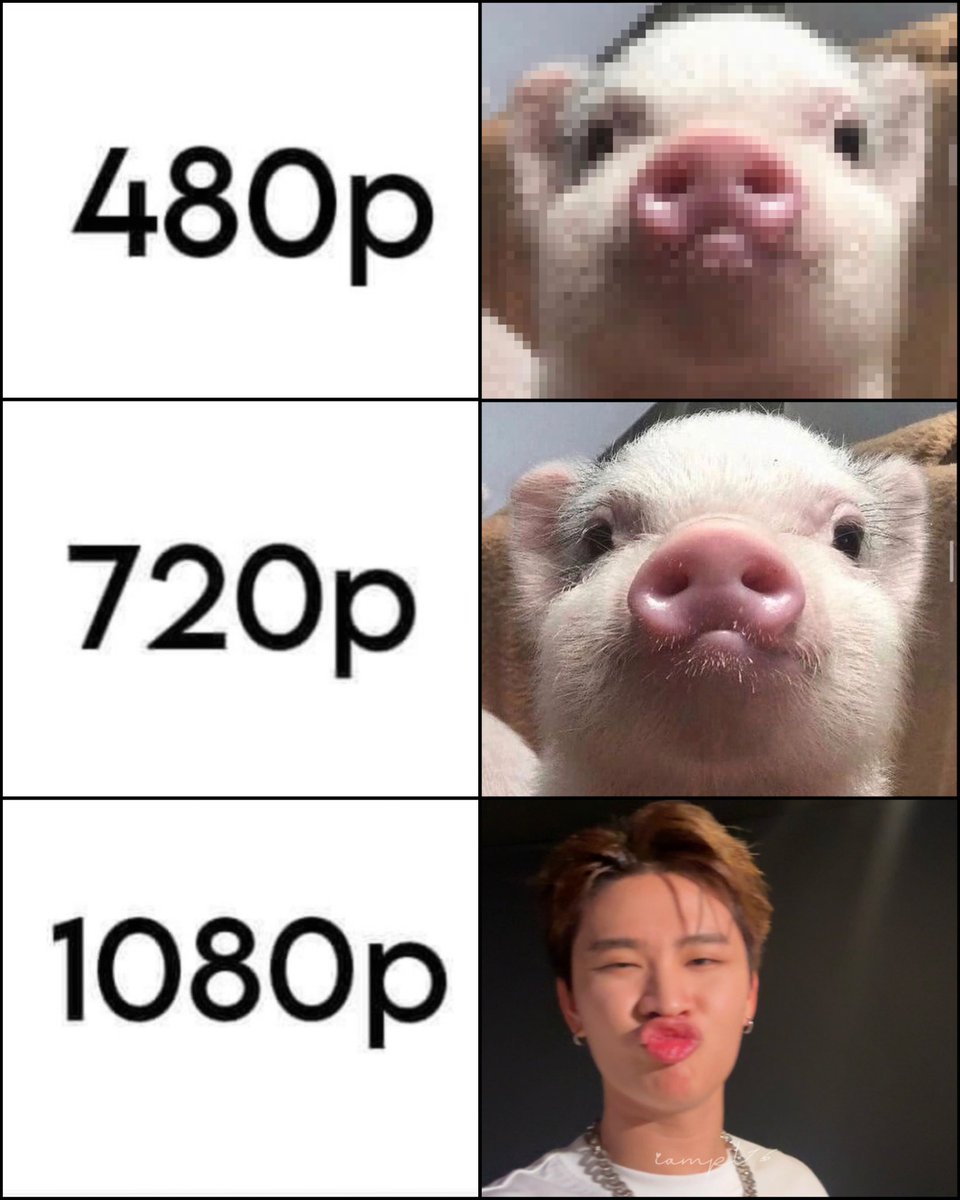 ૮ 핌 ა🧤 tweet media