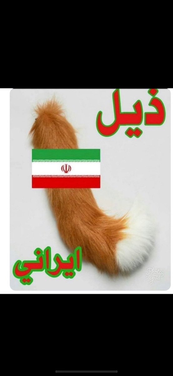 مواطن محب لبلده tweet media