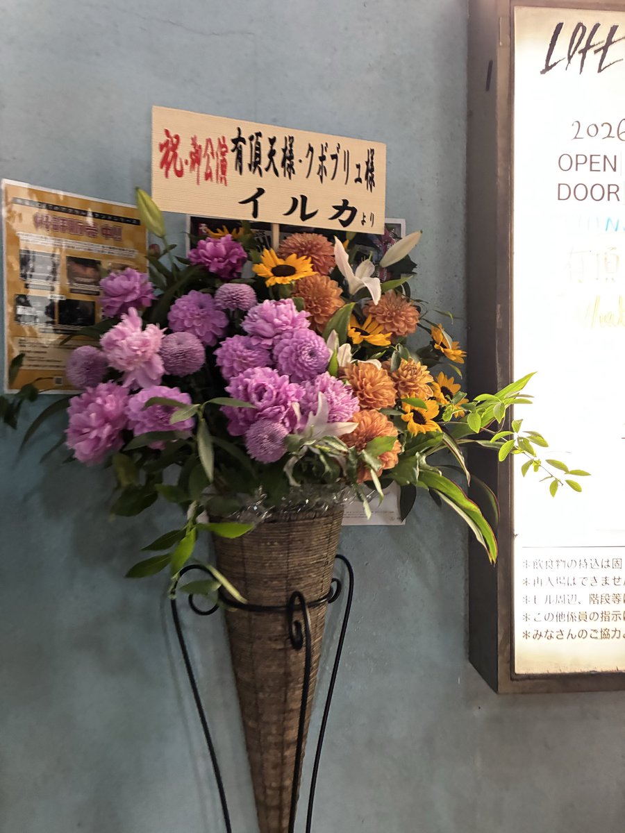 鷺草 tweet media