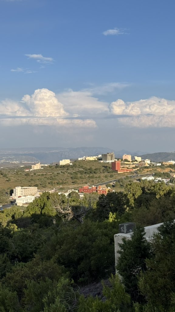 نورة tweet media