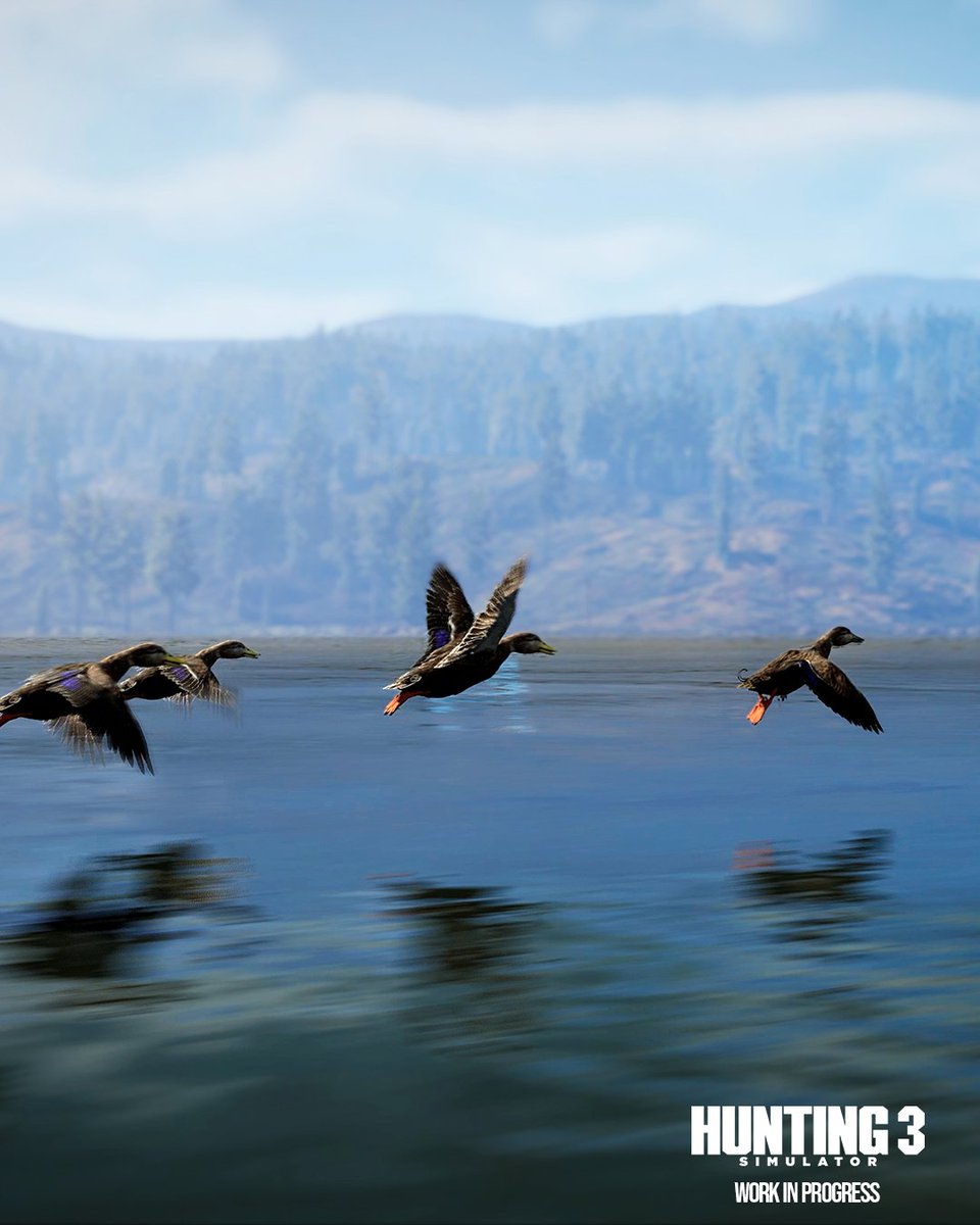 HuntingSim's tweet photo. All aboard the HS3 flight 🦆

#Hunting #HuntingSimulator #HuntingGame https://t.co/wrfY1f3Dmz