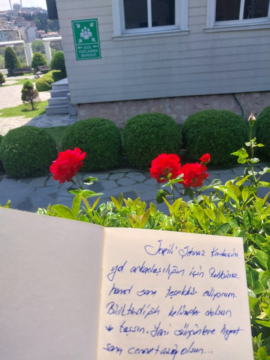 Şehnaz Fındık İnan 🇹🇷🇵🇸 tweet media