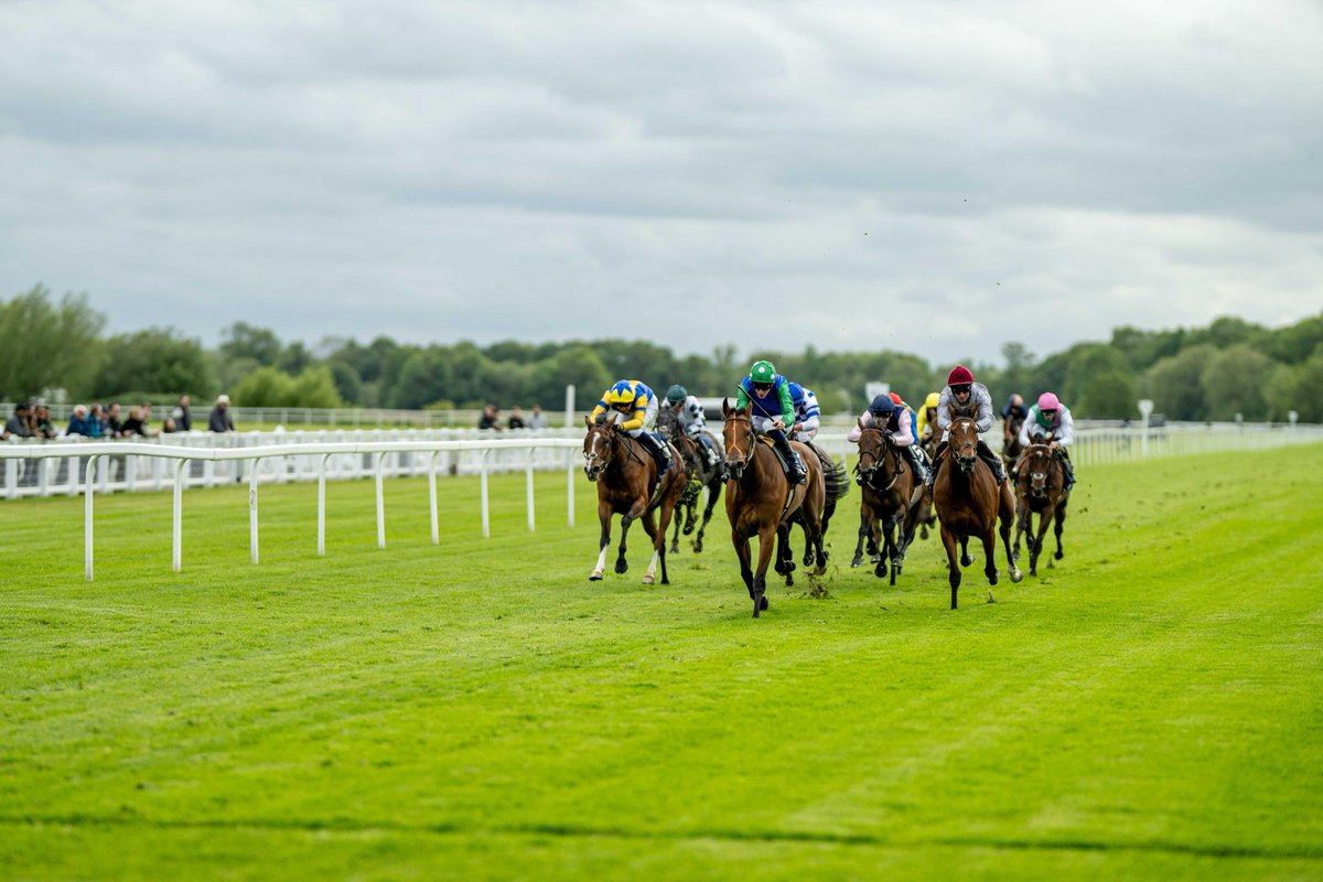 Windsor Racecourse tweet media
