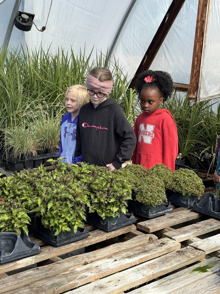 APSNE_Events's tweet photo. The first graders are spending the day in McCook visiting the Common Scents Nursery and having fun in the park! https://t.co/zCZIh2neHG