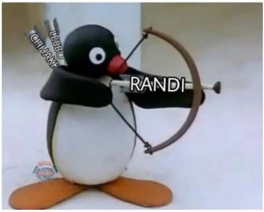 Pingu 🐧 tweet media