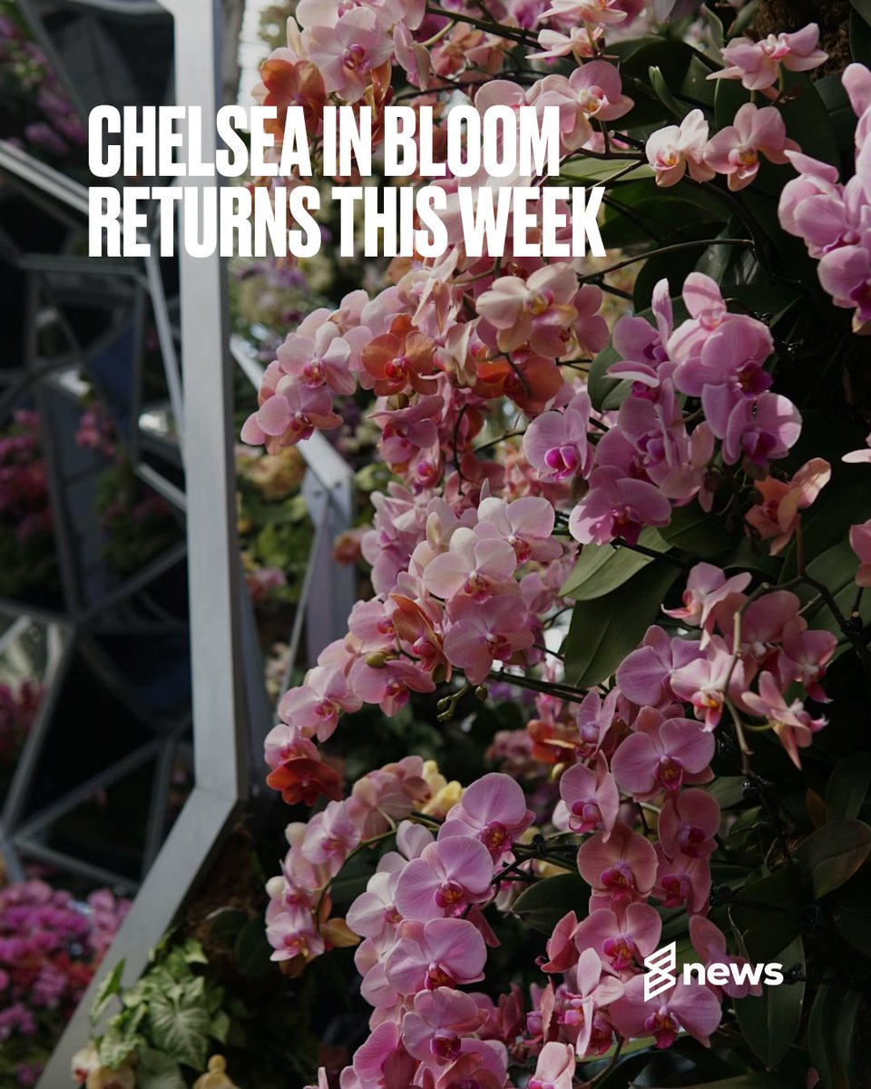skiddle's tweet photo. Chelsea in Bloom returns with cosmic floral displays across London 🌸

Chelsea in Bloom takes over West London from 18th–24th May with over 125 space-themed floral installations, including giant UFOs, dragons and intergalactic displays across Chelsea. https://t.co/oh1QhHYiOv