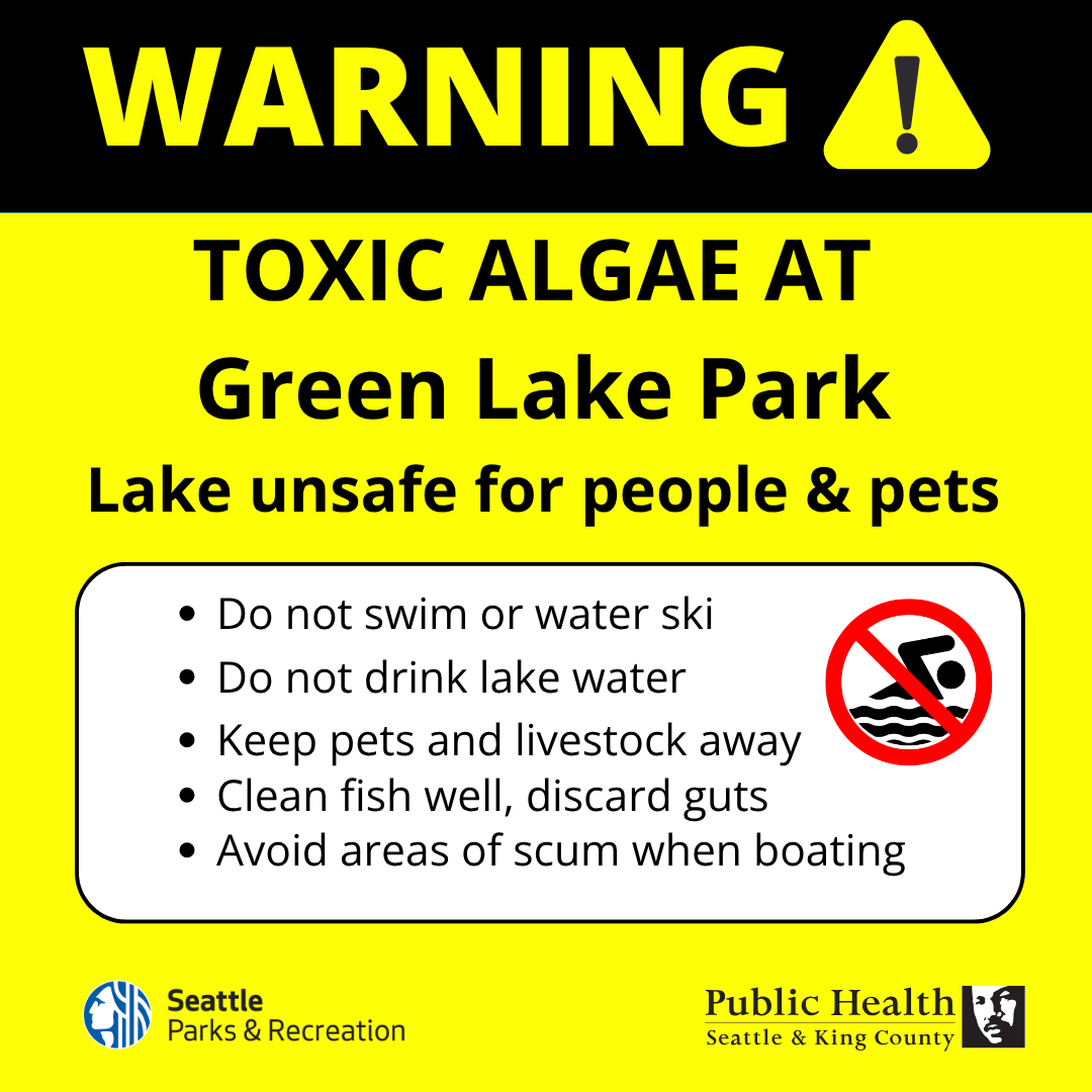 SeattleParks's tweet photo. WARNING: People and pets should stay out of the water at Green Lake Park because of toxic algae. 

For more info about toxic algae, visit https://t.co/kXgnNxaXET @KCPubHealth https://t.co/ph5RpOgX6e