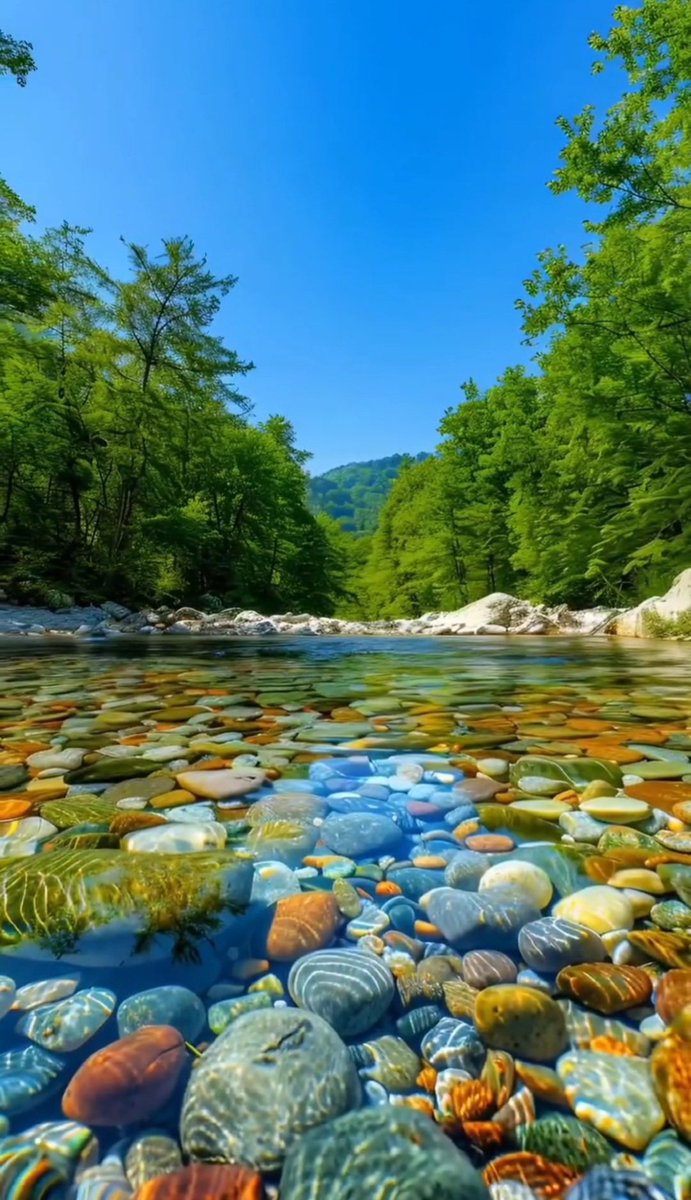 Earth Pictures tweet media