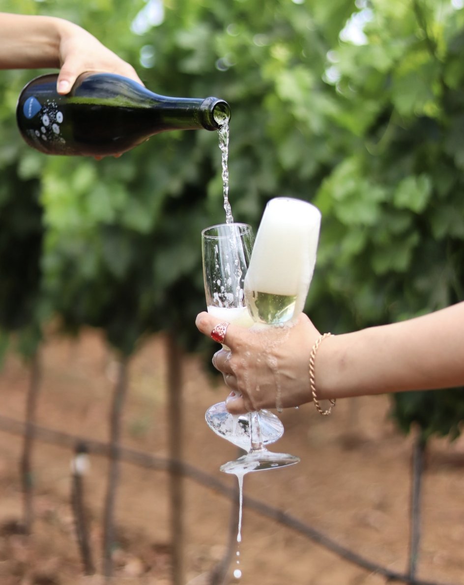 LaRuta_vcc's tweet photo. 🍷 Sumérgete en @DecantosV reservando un tour guiado para conocer sus procesos y disfruta de una cata vertical con añadas desde 2013 acompañada de su cocina de autor.

#valledeguadalupe #ensenada #visitbaja #vinomexicano #winelover https://t.co/Lb386lBxnx