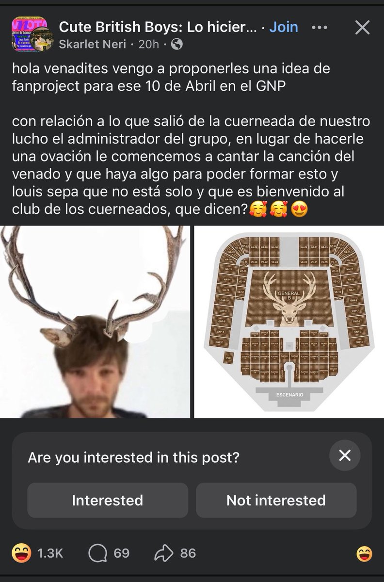 carolina 🦦 tweet media
