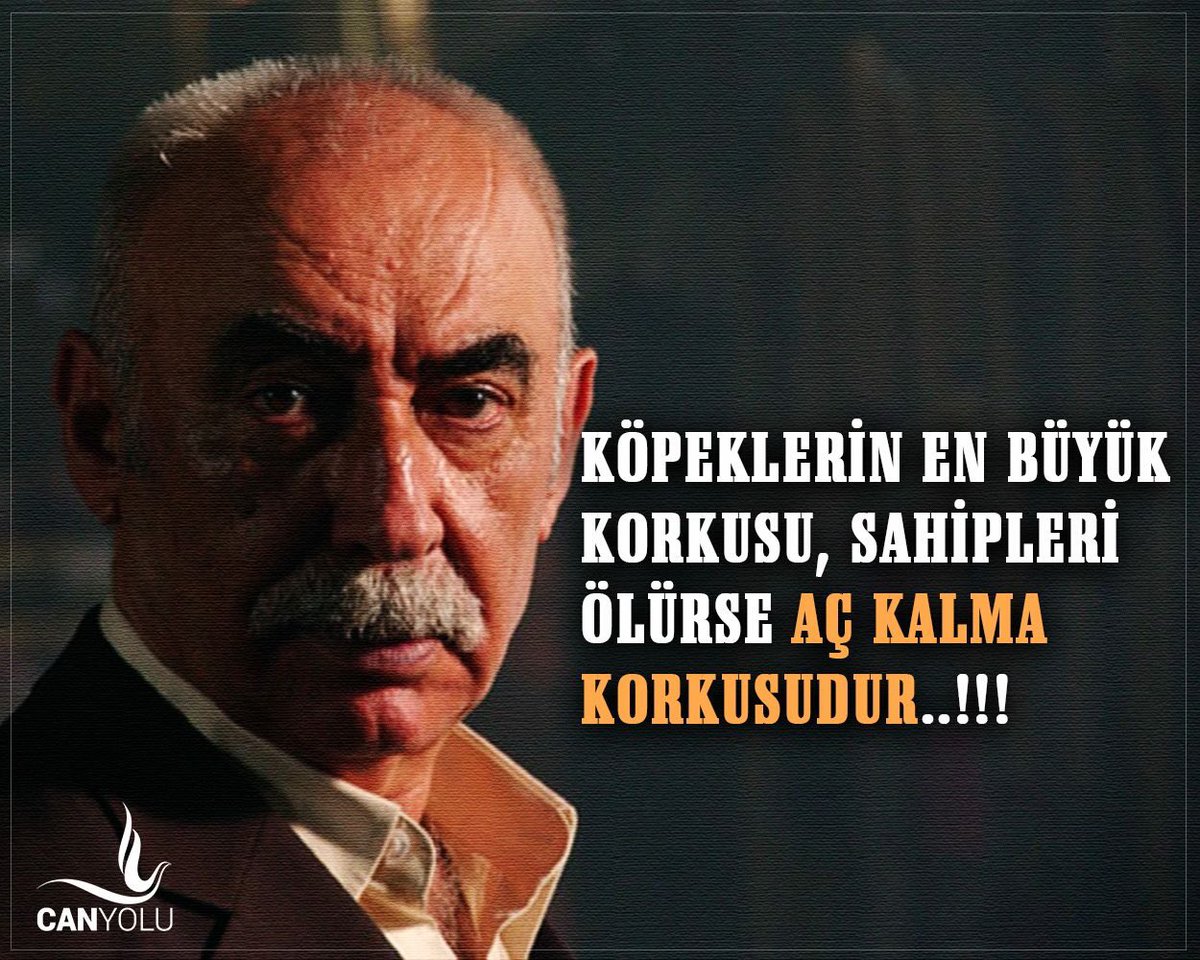 H.SelimKas tweet media