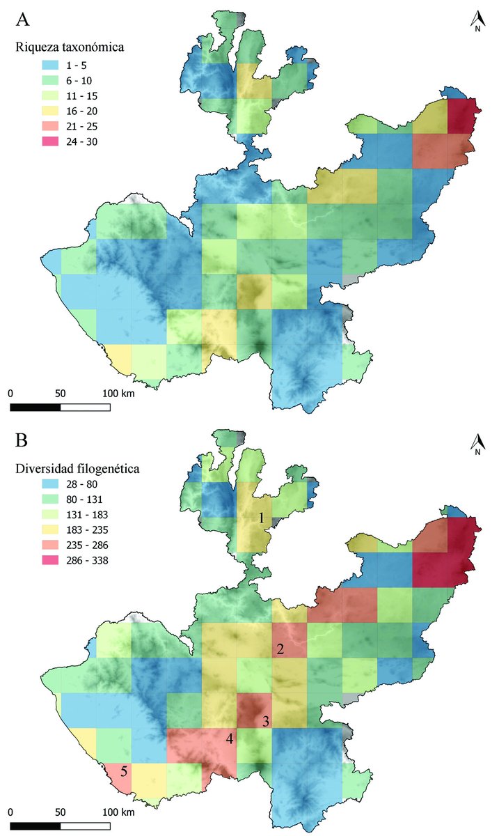 RevMexBio's tweet photo. Se actualizó el listado de Cactaceae para Jalisco, analizando su riqueza taxonómica y diversidad filogenética. Para la conservación de estas plantas, es necesario integrar más estudios en diferentes regiones.
Lee más
https://t.co/0ngG4Cyzws
Más artículos: https://t.co/n1esu0oiAW https://t.co/Nam5cb13CA