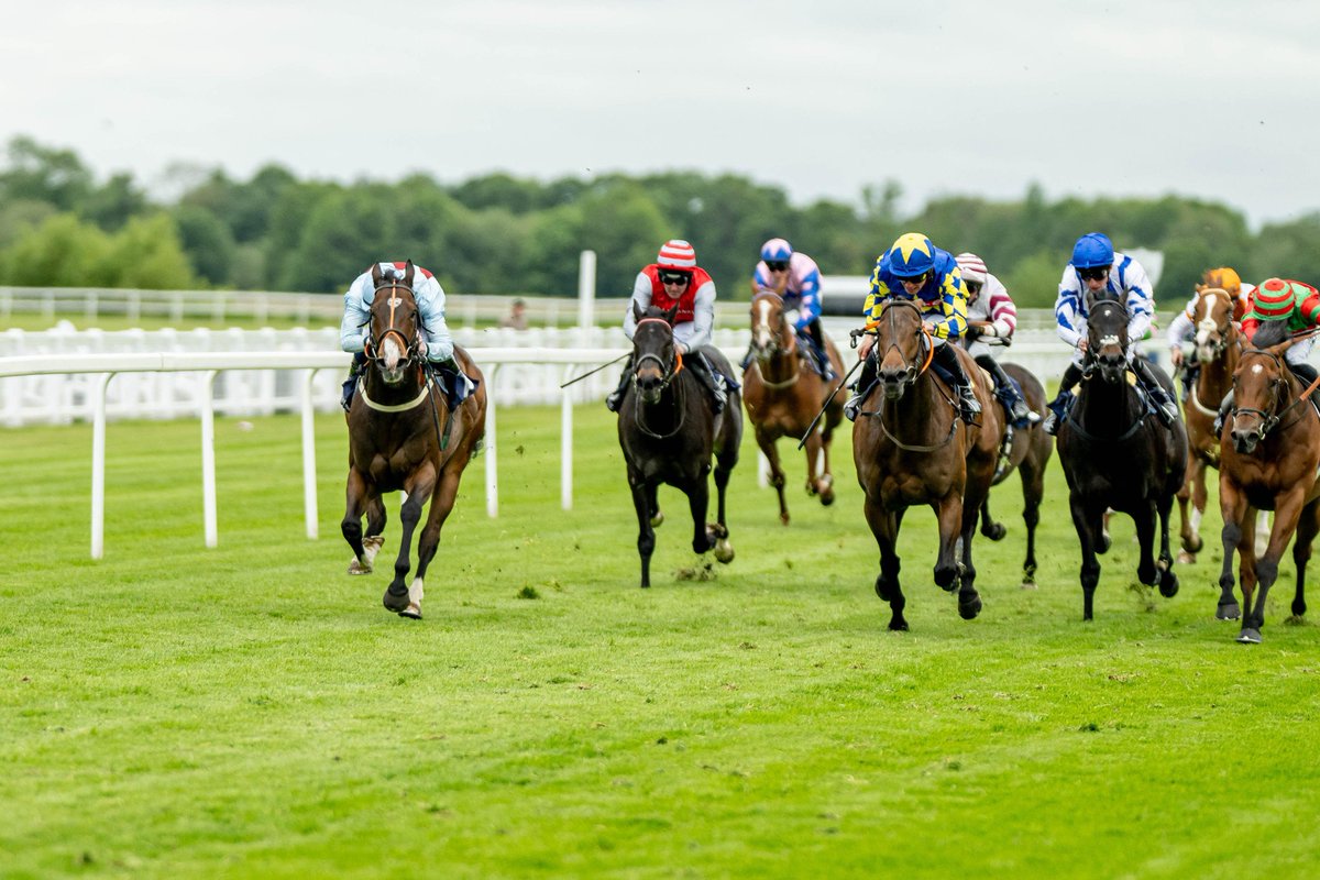 Windsor Racecourse tweet media