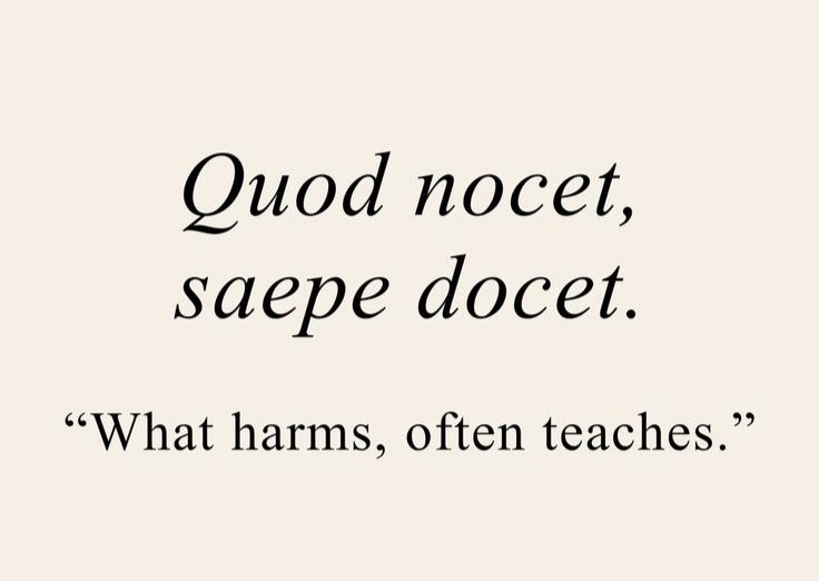 Lovandfear's tweet photo. “Quod nocet, saepe docet” https://t.co/9HxkeDsJjZ
