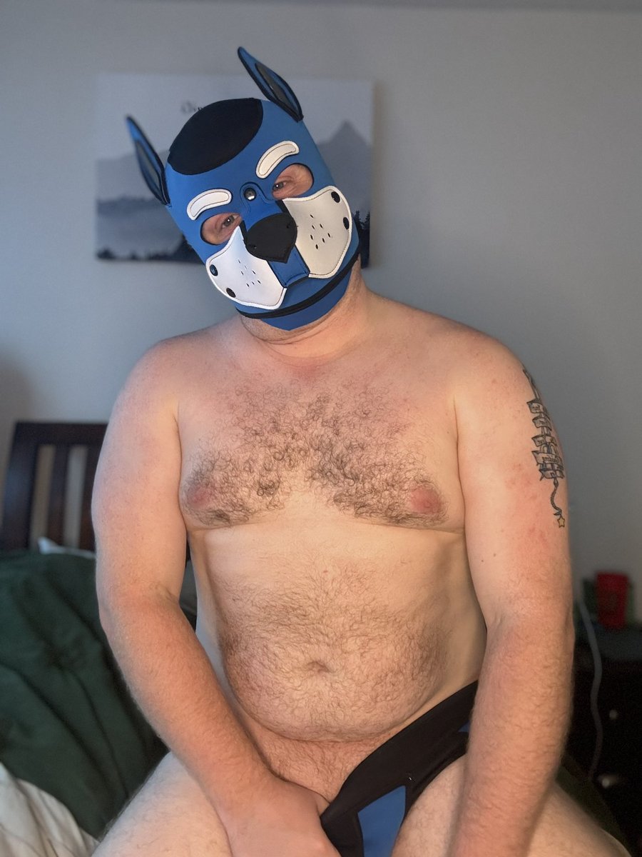 Pup Coda 🐾 tweet media