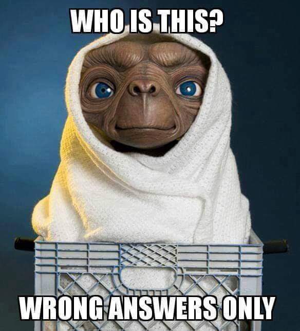 80s Kidz tweet media