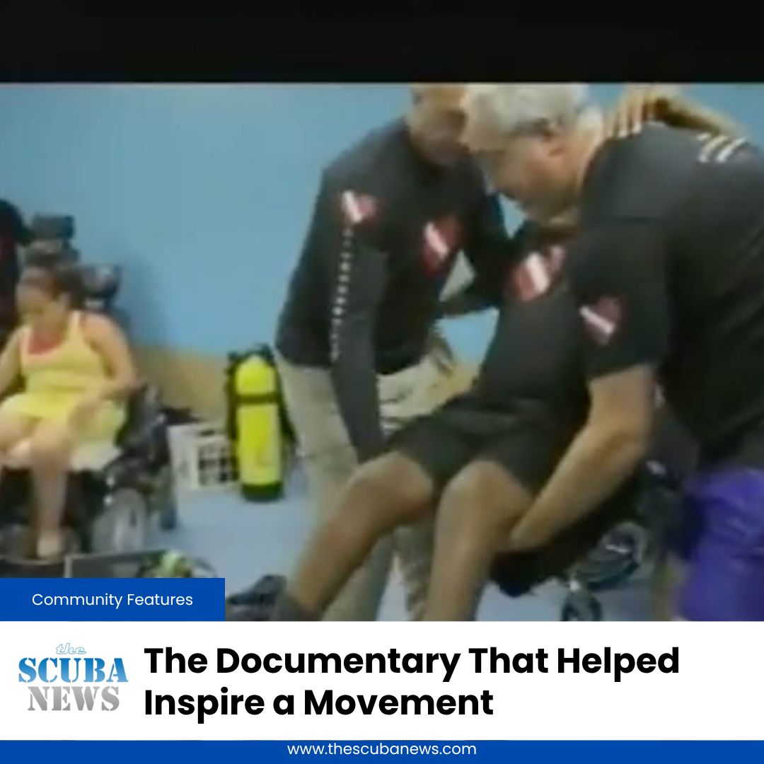 The Scuba News tweet media