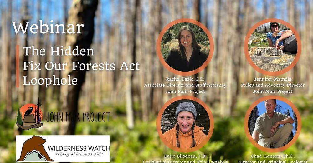 Wilderness Watch tweet media