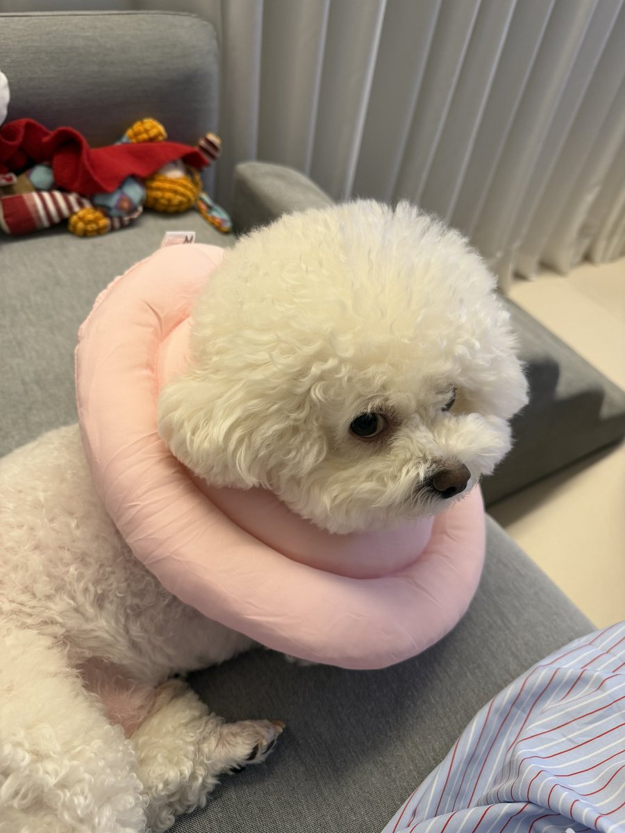 민성 tweet media