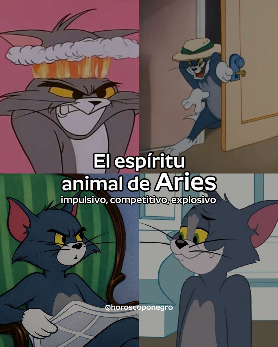 ▲ARIES▲ tweet media