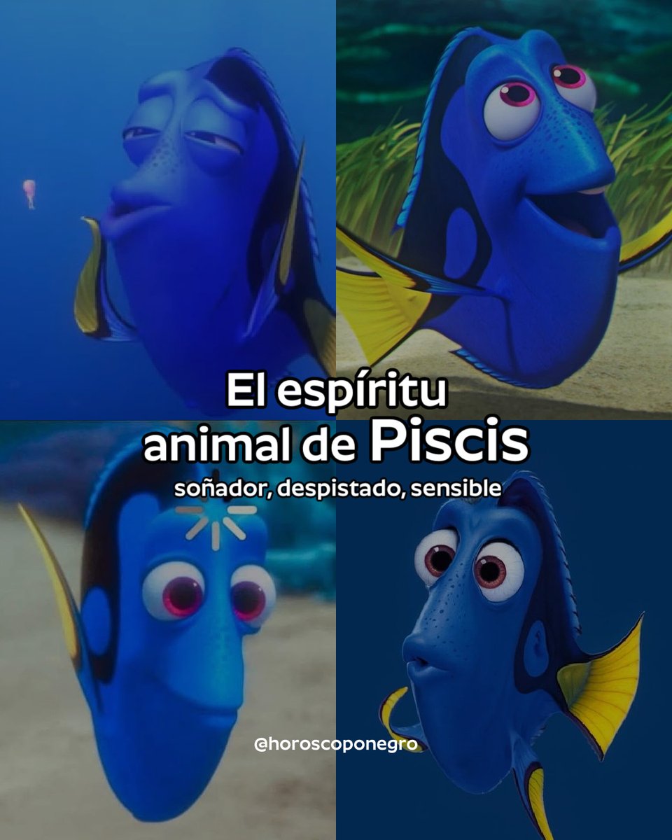 ▲PISCIS▲ tweet media