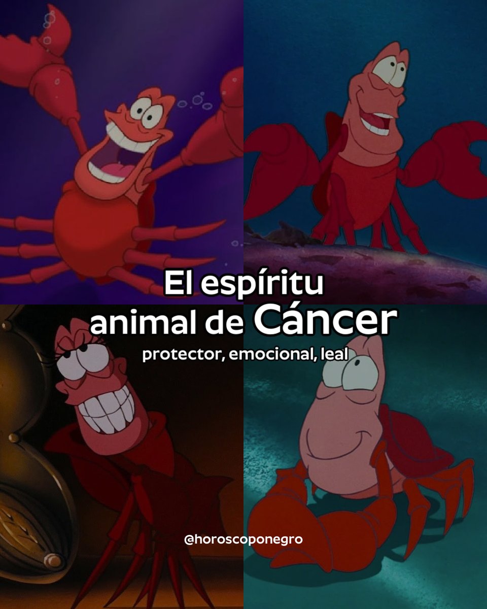 ▲CÁNCER▲ tweet media